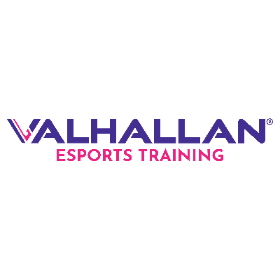 Valhallan E-Sports — Hoss Co. custom apparel partner